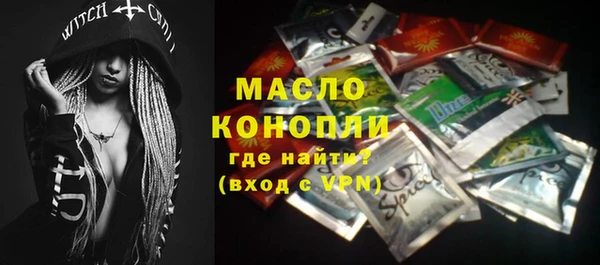 дмт Пестово
