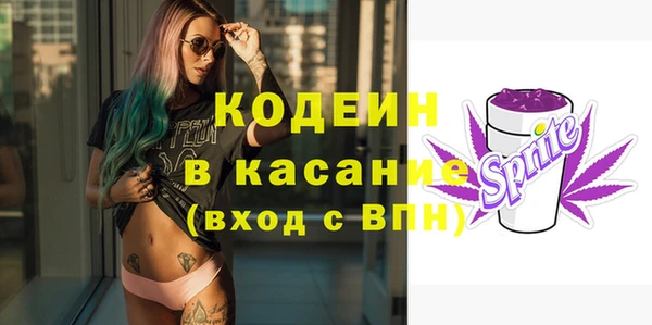 дмт Пестово