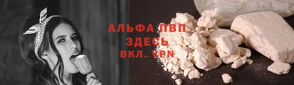 дмт Пестово