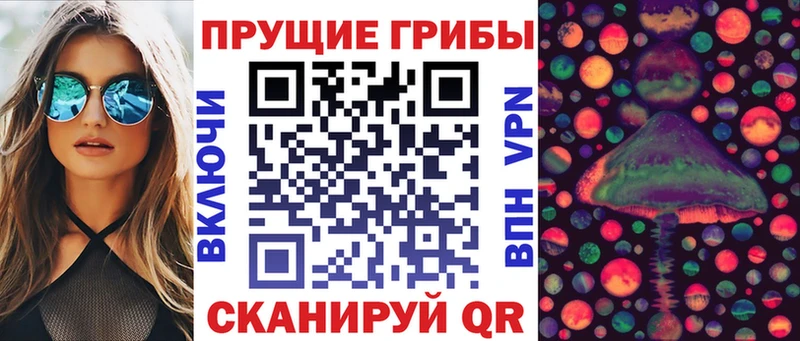 где продают наркотики  МЕГА зеркало  Псилоцибиновые грибы мухоморы  Адыгейск 